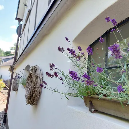 Schneider レンネシュタット