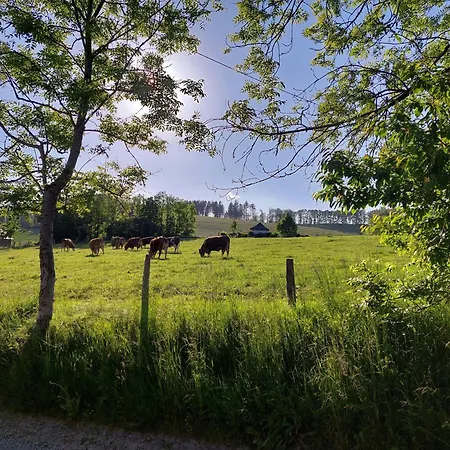 Schneider Lennestadt