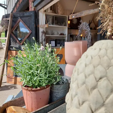 Schneider アパート