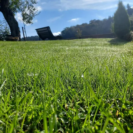 Schneider Lennestadt