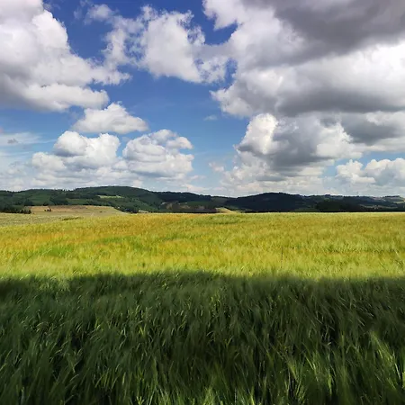 アパート Schneider *