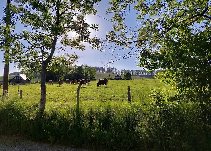 Schneider Lennestadt