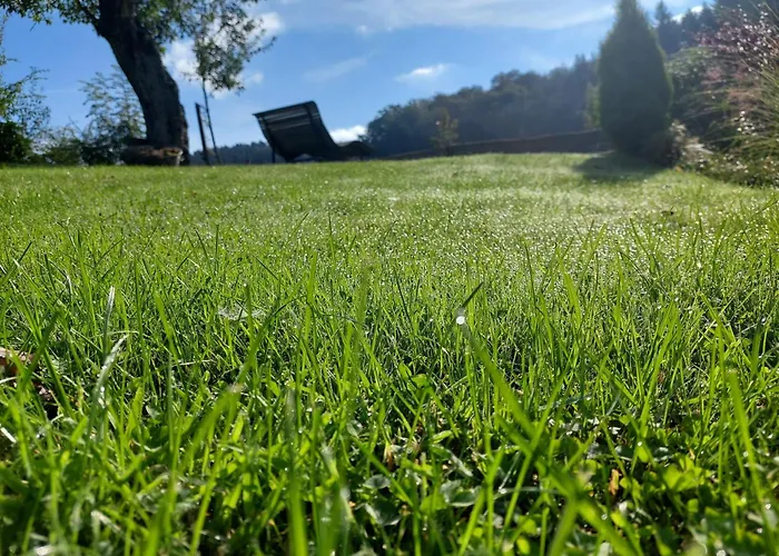 Schneider Lennestadt