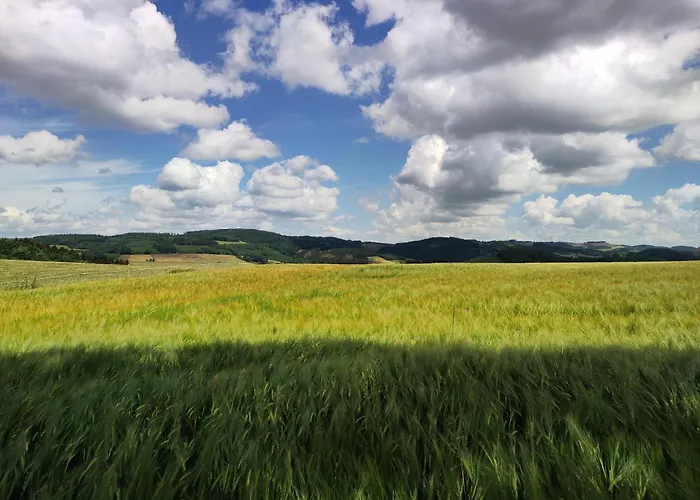 Lejlighed Schneider *