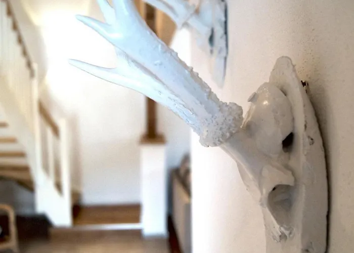 Schneider * Lennestadt