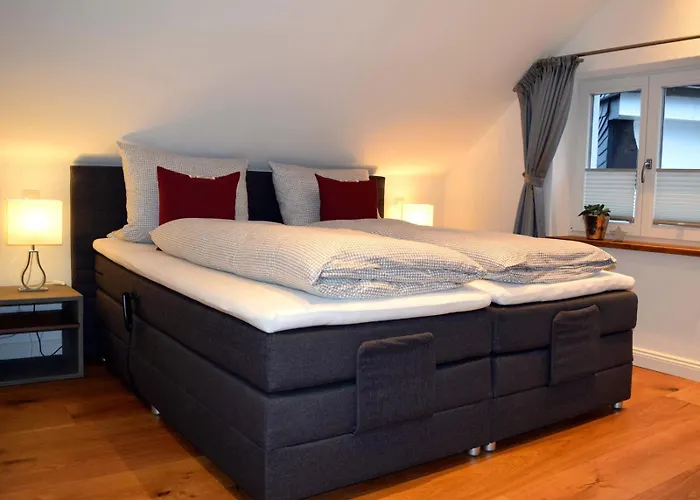 Apartman Schneider
